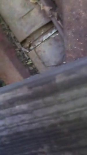гуляем и едем чипсы часть 2