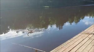 Утренний обзор с нижнего водоёма. Клёвое место, Лосиный остров.