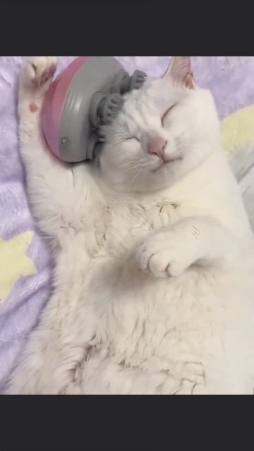 Котомурчательная машинка смотреть онлайн