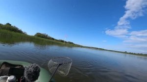 В этом ПРУДУ, крадут удочки... Топят поплавки БОЛЬШИЕ КАРАСИ! Рыбалка с лодки