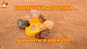 Кормушки и поилки для кур своими руками (269) 🪚✂️ Пошаговая инструкция как сделать 🐔 🐓❣️