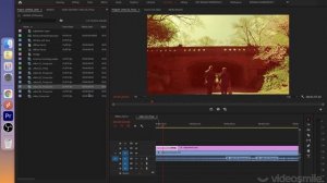 2 глава 4. Окно Project
