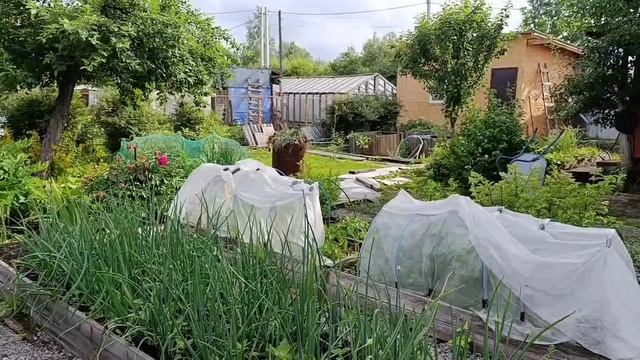 ДАЧНЫЕ ДЕЛА, КТО МОЛОДЕЦ? Я МОЛОДЕЦ! 😄 смотреть онлайн