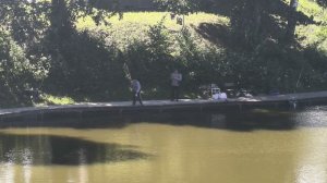 карп на основном