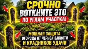 Срочно воткните это по углам участка. Мощная защита огорода.