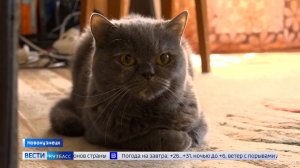 Второй год: двухнедельное отключение горячей воды затянулось в Новокузнецке