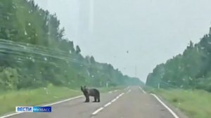 Дым от лесных пожаров, снижение выбросов и учебное спасение: дайджест новостей Кузбасса