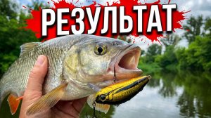🔴 Река требует крови: испытание одной приманки на сплаве!!!🔥💪🔥
