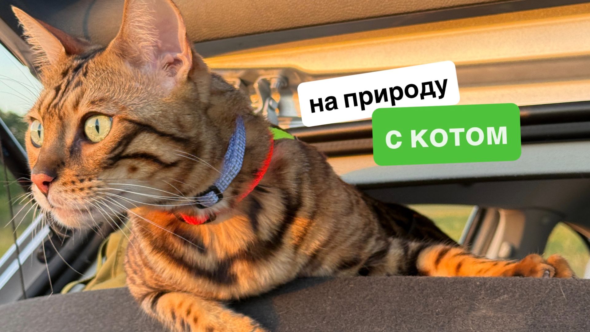 КОТ на природе, делаем БУРГЕРЫ!
