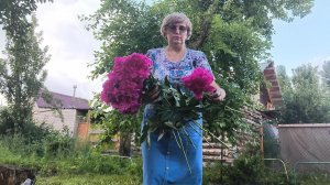 Не могу оформить страховку на РЖД: что я делаю не так?