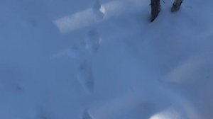 Охота и рыбалка