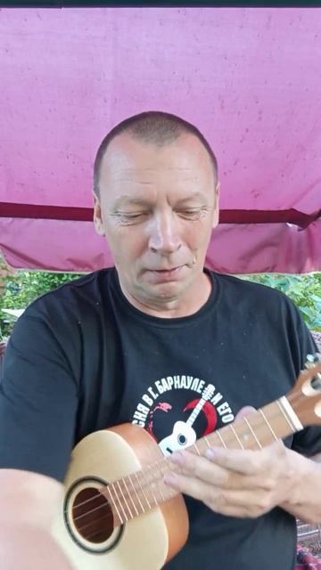 Кавакиньо и укулеле