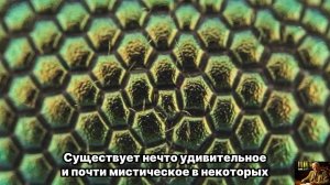ЮНГ ОСТАВИЛ ПОСЛАНИЕ — Для КАЖДОЙ одинокой женщины