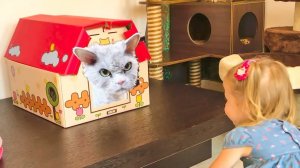 Котики пытались подружиться с Настей в Кошачьем Кафе