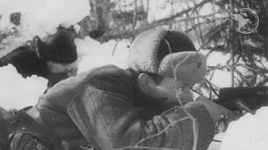 Партизанская война в годы Великой Отечественной войны