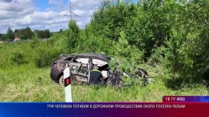 Три человека погибли в дорожном происшествии около поселка Пелым