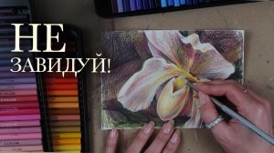 Почему вы завидуете? Ответ вас удивит