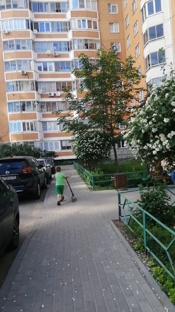 VID_20260621_093945.mp4 смотреть онлайн