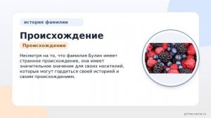 Происхождение, история и значение фамилии Булина: узнайте все о склонении и интересных фактах