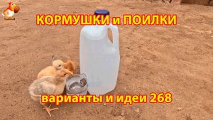 Кормушки и поилки для кур своими руками (268) 🪚✂️ Пошаговая инструкция как сделать 🐔 🐓❣️
