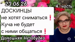4 часть. ДОСКИНЦЫ не хотят сниматься❗️Значит куча не будет с ними общаться❗️