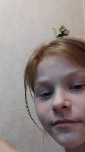 шоги логи
