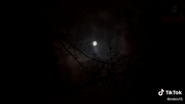 Страшные Истории Про Бегающего Трупа. смотреть онлайн