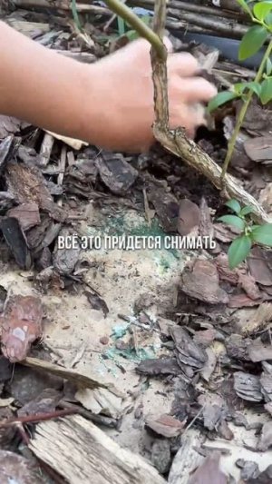 Не используйте картон вместо геотекстиля!