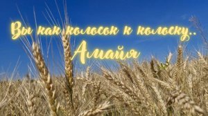 Вы как колосок к колоску..Амайя. #вселеннаяя #энергоработа #плодородие  #амайя  #силасознания