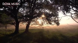 Dova Music - Sweet Memory (Music Video)