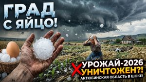 Аномальный град в Актюбинской области уничтожает посевы. Что будет с урожаем?
