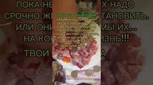 ЧИСТКА-БУМЕРАНГ ПО ПРОСЬБЕ ТВОИХ ПРЕДКОВ