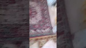 2428.mp4