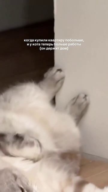 На нём всë и держится