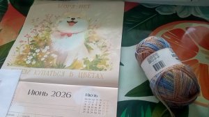«Носочки для Лета. Сезон 3». Июнь