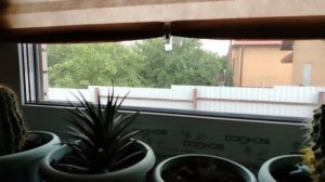 ВЛОГ ОПЯТЬ В ШКОЛУ?🏫 Пошёл дождик🌧️