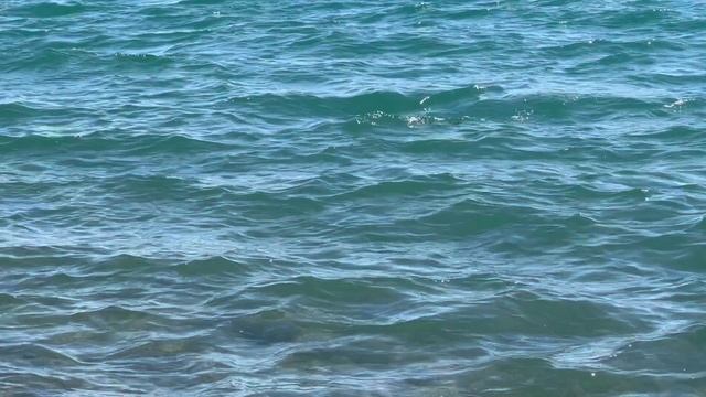 12209120_1920_1080_60fps смотреть онлайн