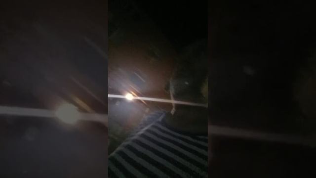 Часть1 Приключения в НВРС с покупателями.