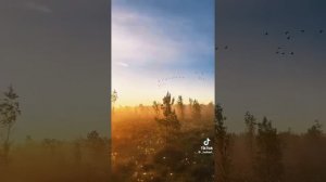 И пусть всё будет хорошо у нас у всех.