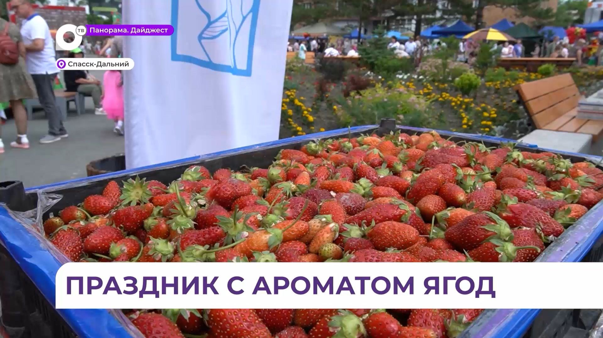 Ароматный праздник: фестиваль клубники состоялся в Спасске-Дальнем смотреть онлайн