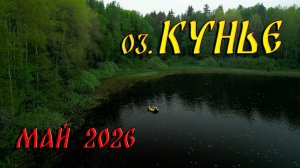 Оз. Кунье. Выборгский р-н. Май 2026 г.