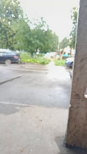 велопутешествие стрим с эмилем