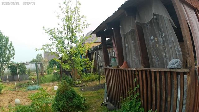 Утром пока нет жары пытаемся что нибудь сделать на улице. смотреть онлайн