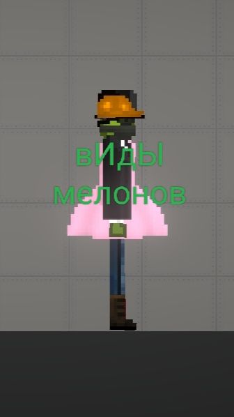 Виды мелонов | melon sandbox shorts