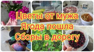 Муж ДАРИТ цветы! Наши СБОРЫ в запланированную ПОЕЗДКУ