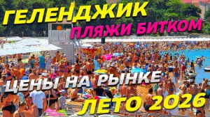 ГЕЛЕНДЖИК! ЖАРА! ПЛЯЖИ БИТКОМ! ЦЕНЫ на РЫНКЕ! ИДЕАЛЬНОЕ МОРЕ! СЕЗОН в РАЗГАРЕ! ЧТО у НАС ПРОИСХОДИТ?