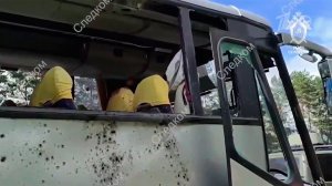 Следственный комитет России установил имена причастных к теракту в Брянской области.
