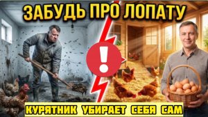 Японец сжег все книги по агрономии. И сделал курятник, который работает без хозяина