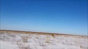 Охота и рыбалка