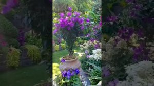 Romas - Свет в окне покой в душе «